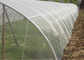 2x30m beständige Antiinsekten-Fliegengitter-UVmaschen-weiße Gemüsefiletarbeit